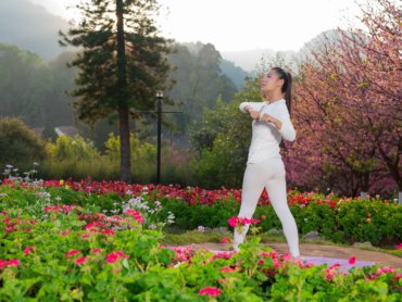 Women are playing yoga at the park. Exercising.
