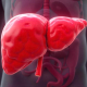 freepik__3d-rendering-of-a-liver-affected-by-fatty-liver-di__3144