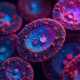 freepik__a-microscopic-view-of-ovarian-cancer-cells-stained__53956
