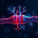 freepik__an-artistic-abstract-rendering-of-a-neuromuscular-__67190