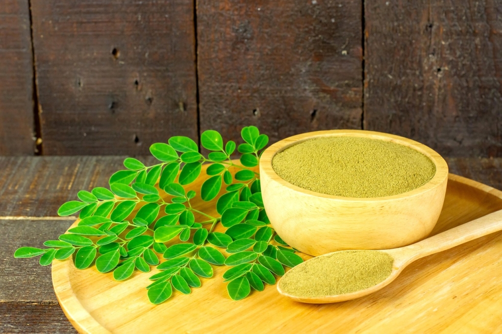 moringa-6582660_1280