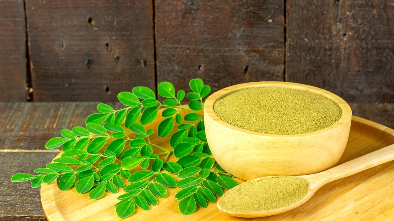 moringa-6582660_1280