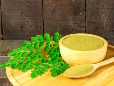 moringa-6582660_1280