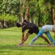 young-couple-enjoying-yoga_11zon