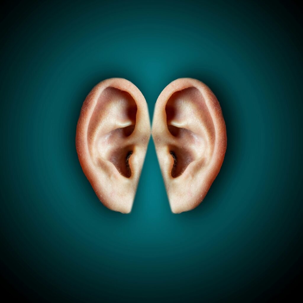 Creative unusual composition of human ears arranged close on center of dark blue background