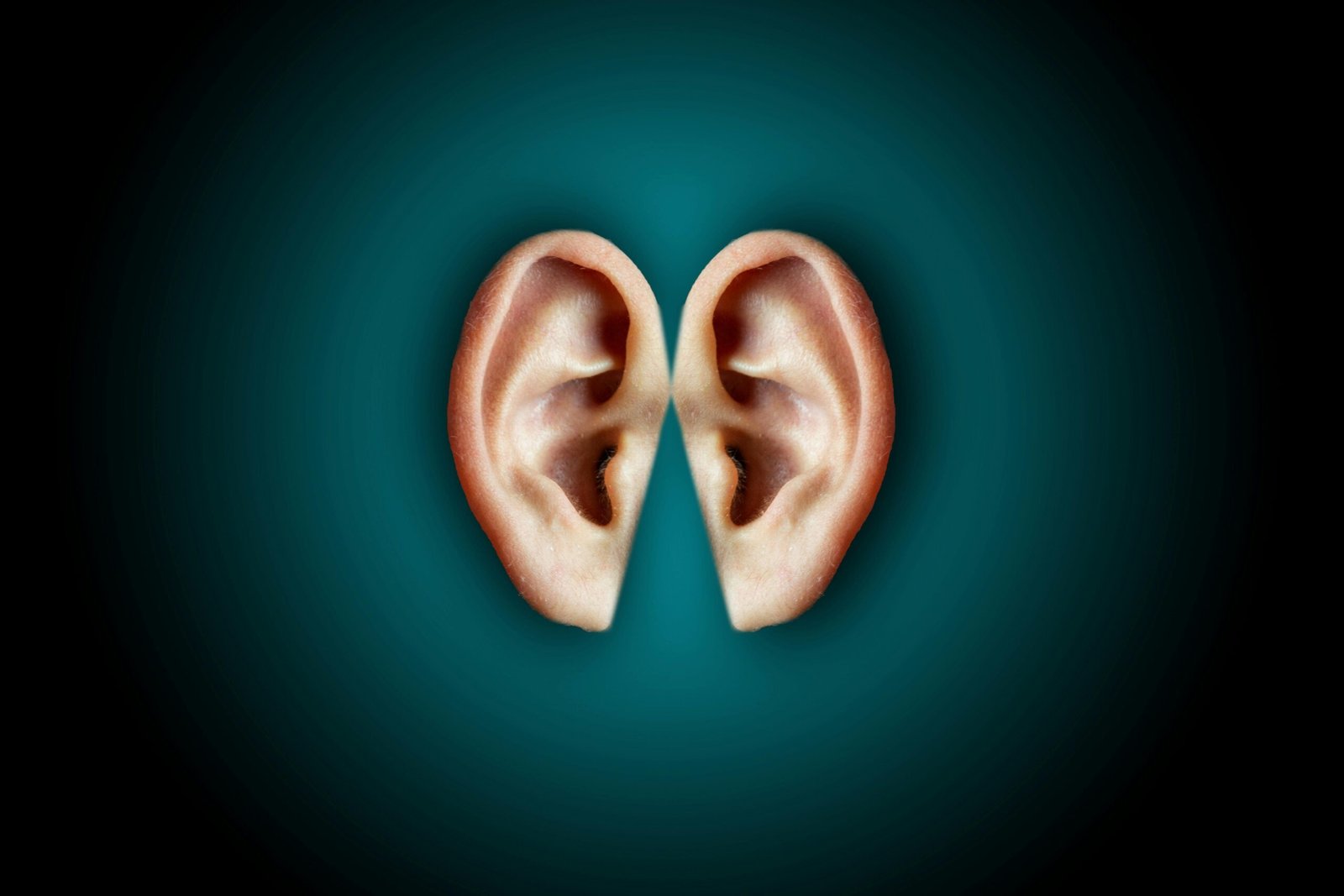 Creative unusual composition of human ears arranged close on center of dark blue background