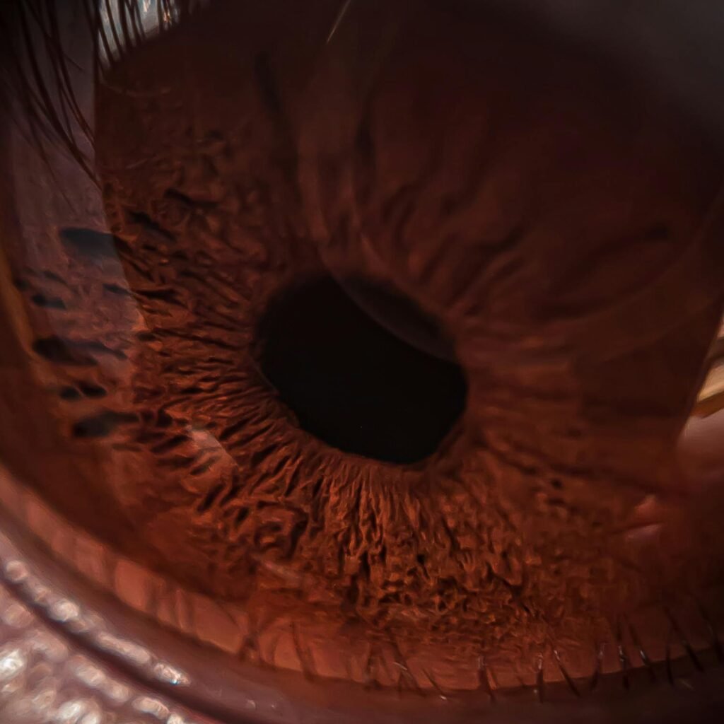 Detailed close-up image of a brown eye emphasizing the iris texture in macro photography.