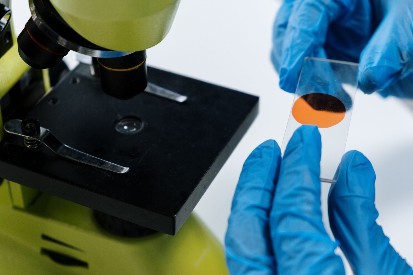 Close-up of a scientist handling a microscope slide with blue latex gloves, preparing for analysis.