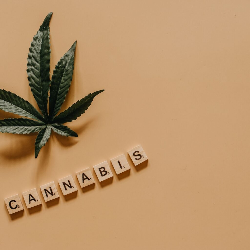 A cannabis leaf with the word 'cannabis' spelled out in letter tiles on a beige background.