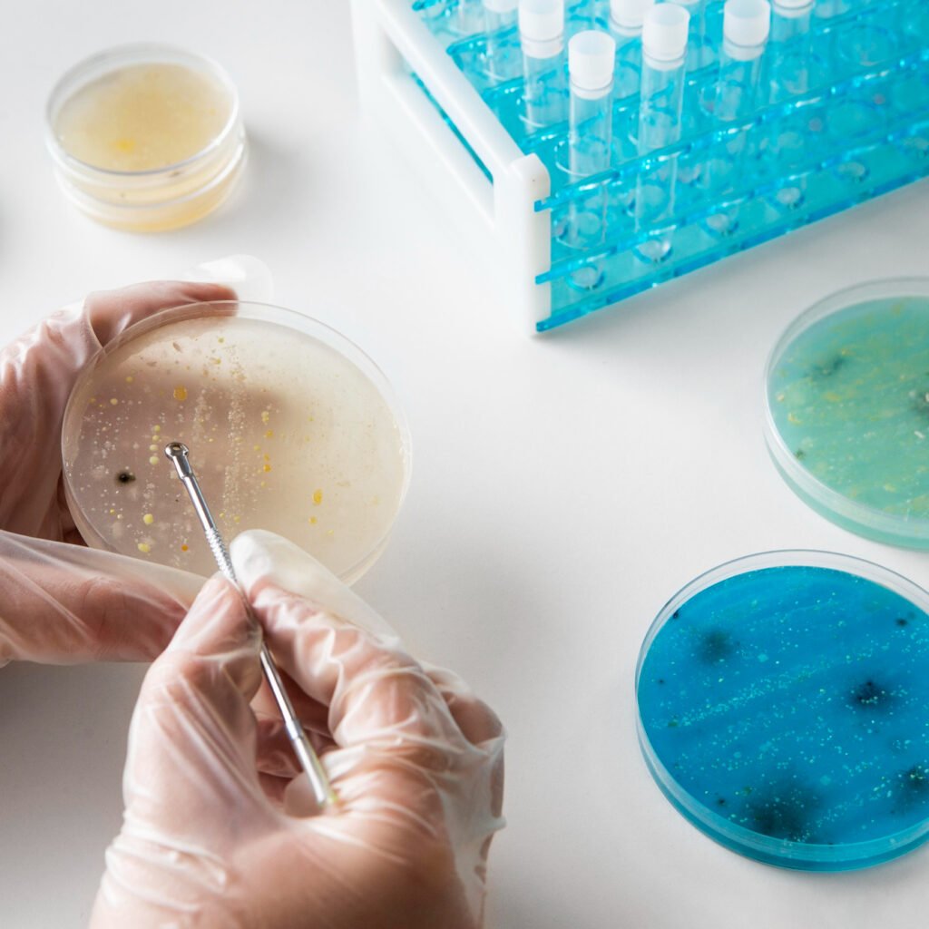 A public health scientist analyzing bacterial cultures in a laboratory to monitor antimicrobial resistance.