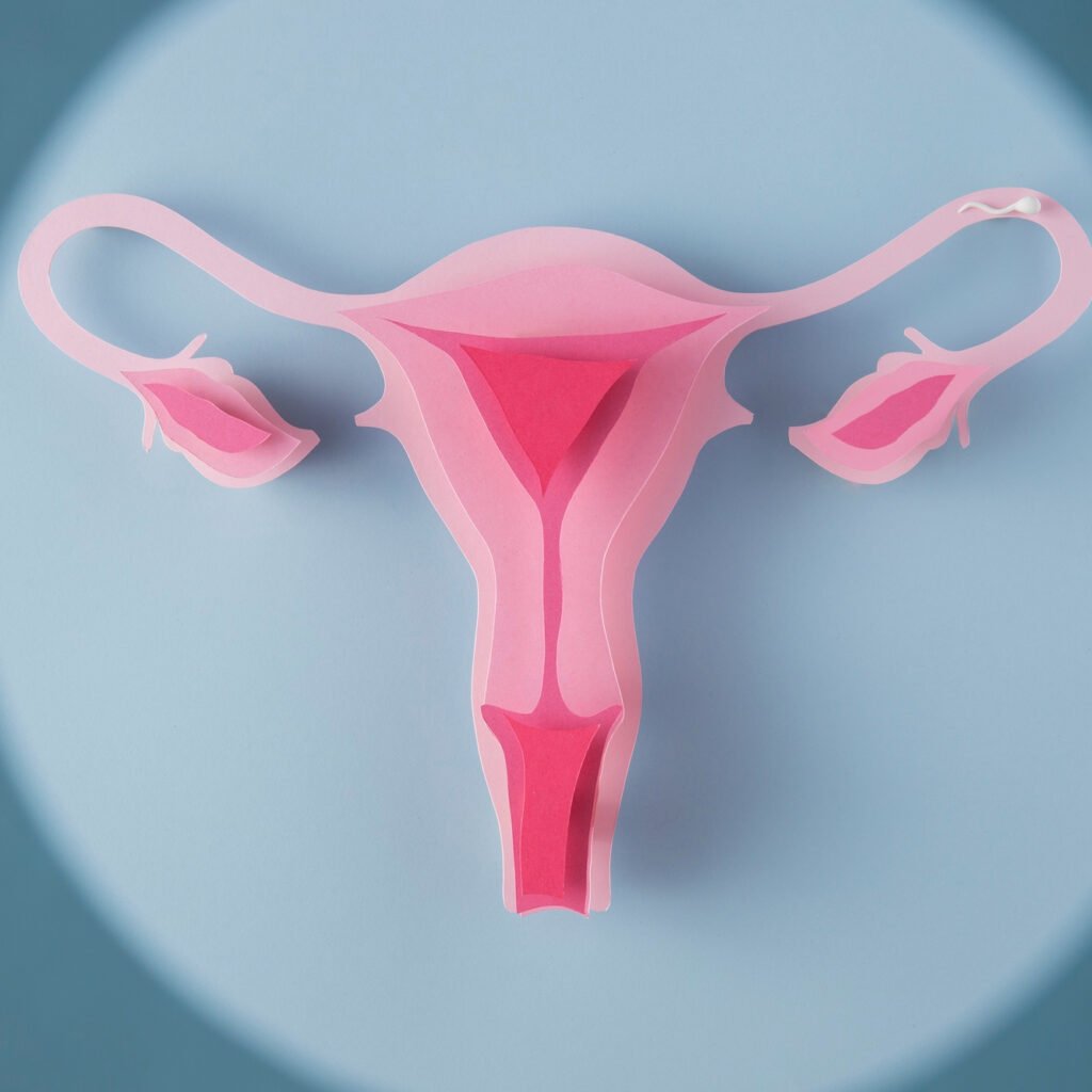 Illustration of selinexor (XPOVIO) maintenance therapy for TP53 wild-type advanced or recurrent endometrial cancer following Phase 3 XPORT-EC-042 trial results.