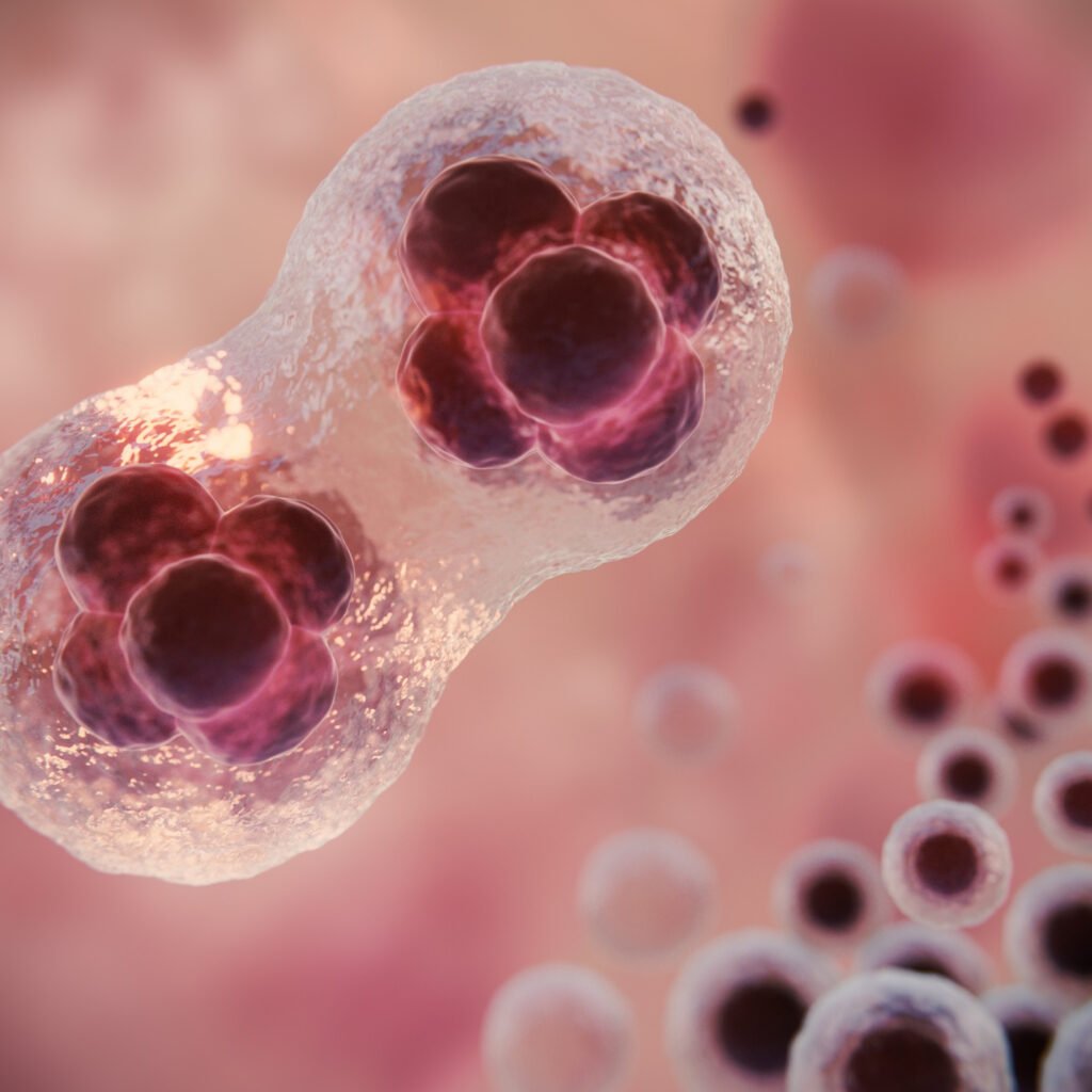 Ultomiris (ravulizumab) Phase III HSCT-TMA clinical trial showing adult study results and pediatric regulatory pathway