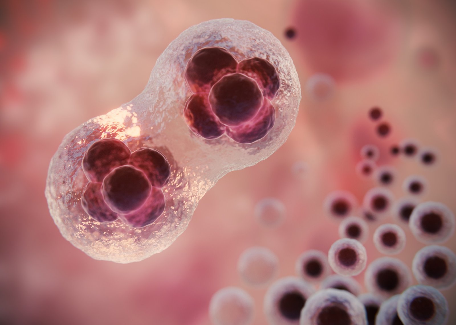 Ultomiris (ravulizumab) Phase III HSCT-TMA clinical trial showing adult study results and pediatric regulatory pathway