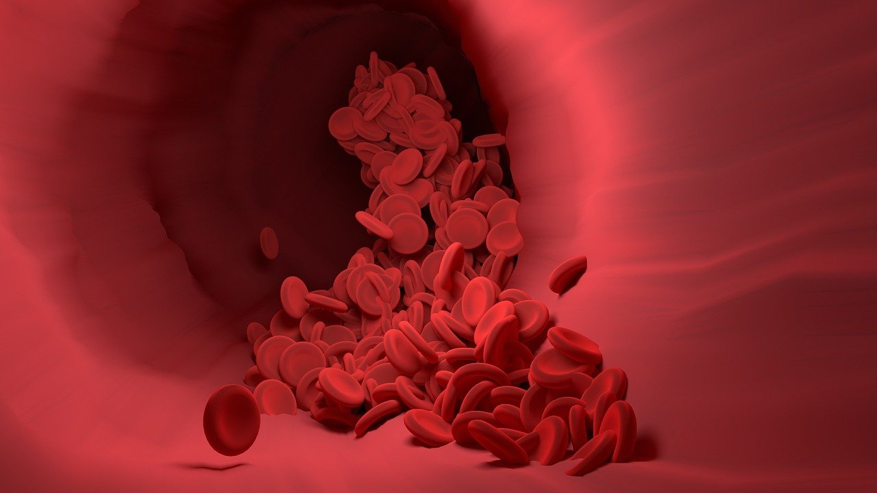 Illustration of Hemab's HMB-002 antibody increasing Von Willebrand Factor and Factor VIII in Phase 1 Von Willebrand disease study presented at ISTH 2026 alongside the HMB-003 heavy menstrual bleeding program.