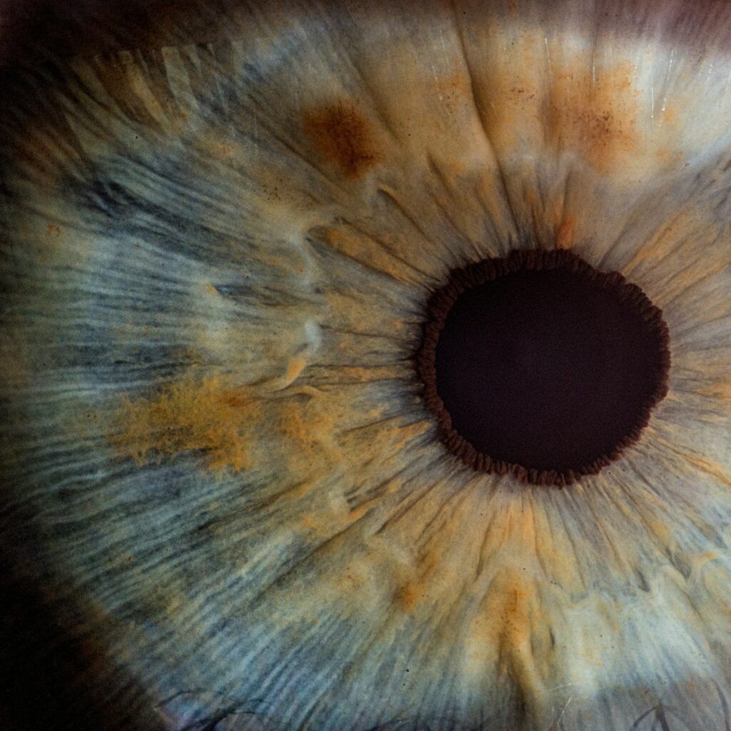 Retina scan illustrating neovascular age-related macular degeneration alongside TH103 investigational therapy advancing in Phase 1 clinical development.