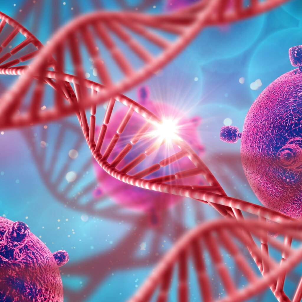 Illustration of AAV9 gene therapy RP-A501 delivering the LAMP2B gene to cardiac cells for the treatment of Danon disease during the pivotal Phase 2 clinical trial.