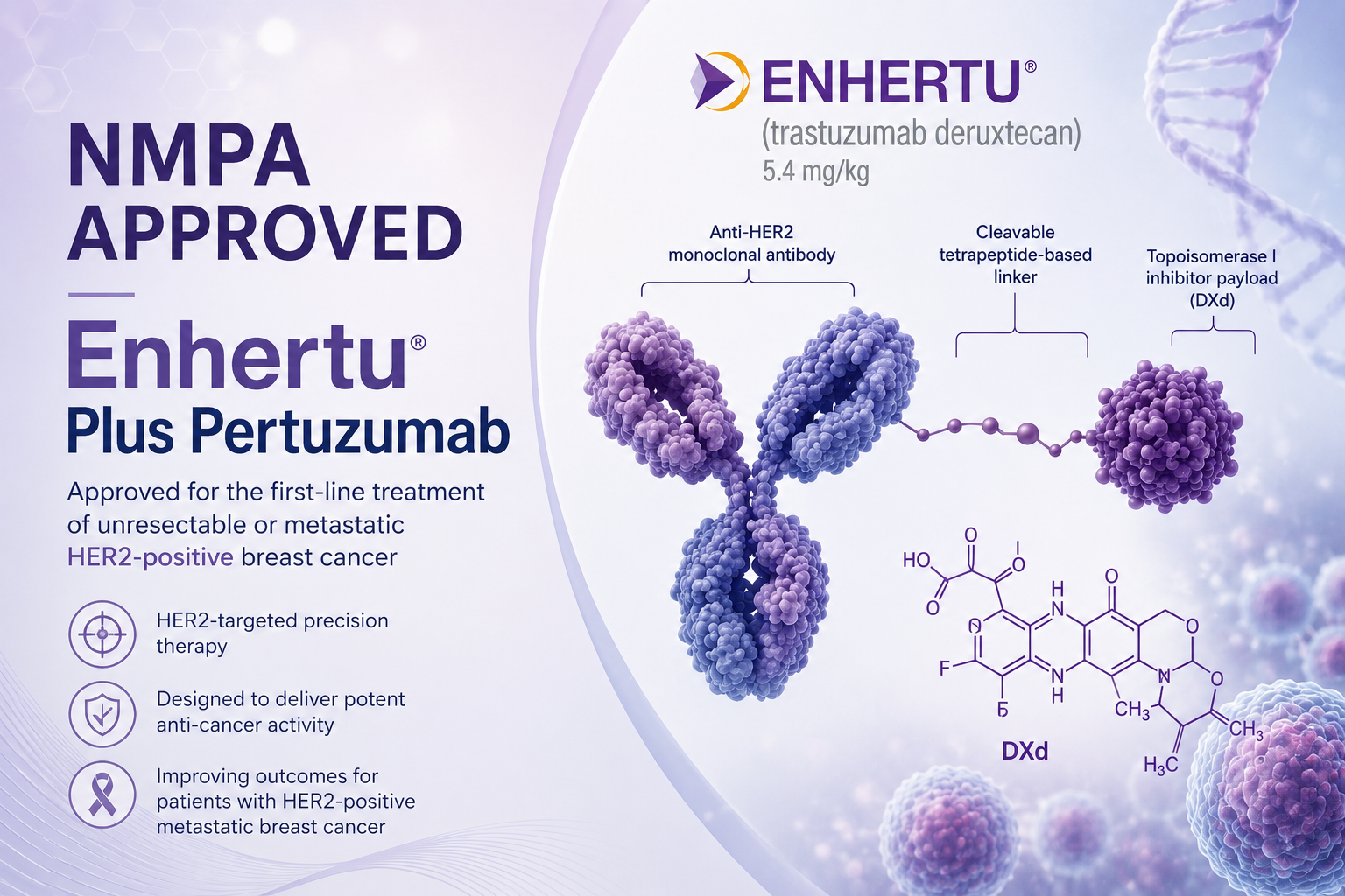 Enhertu plus pertuzumab approved in China for first-line HER2-positive metastatic breast cancer