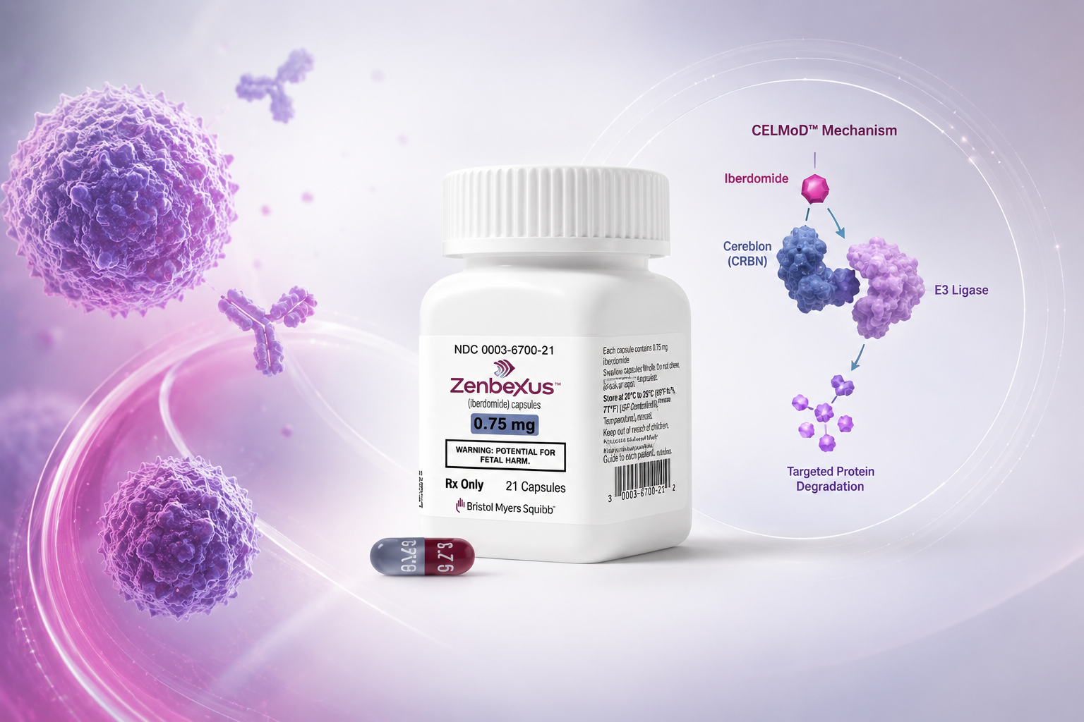 ZENBEXUS iberdomide receives FDA approval as first CELMoD therapy for multiple myeloma