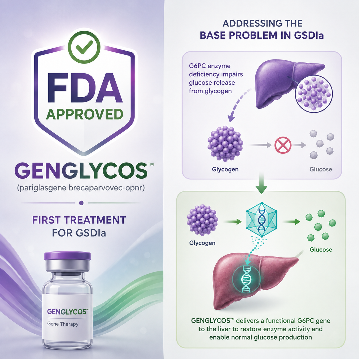 GENGLYCOS gene therapy receives FDA approval for glycogen storage disease type Ia