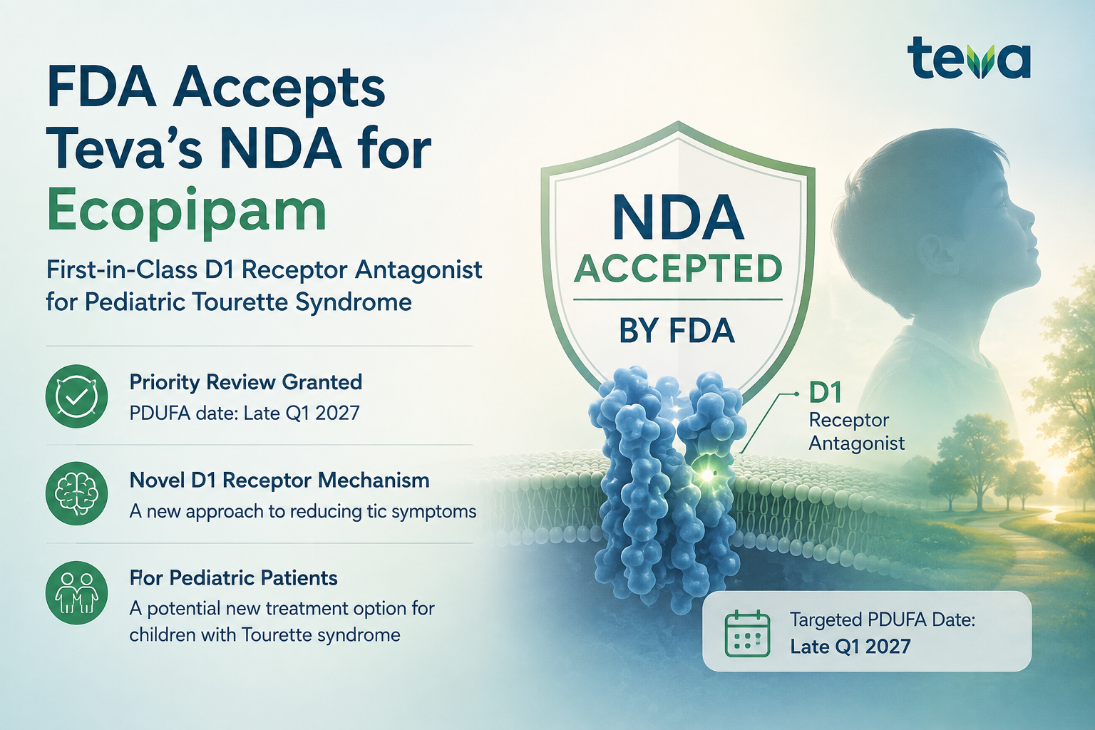 Teva ecopipam NDA accepted by FDA for pediatric Tourette syndrome