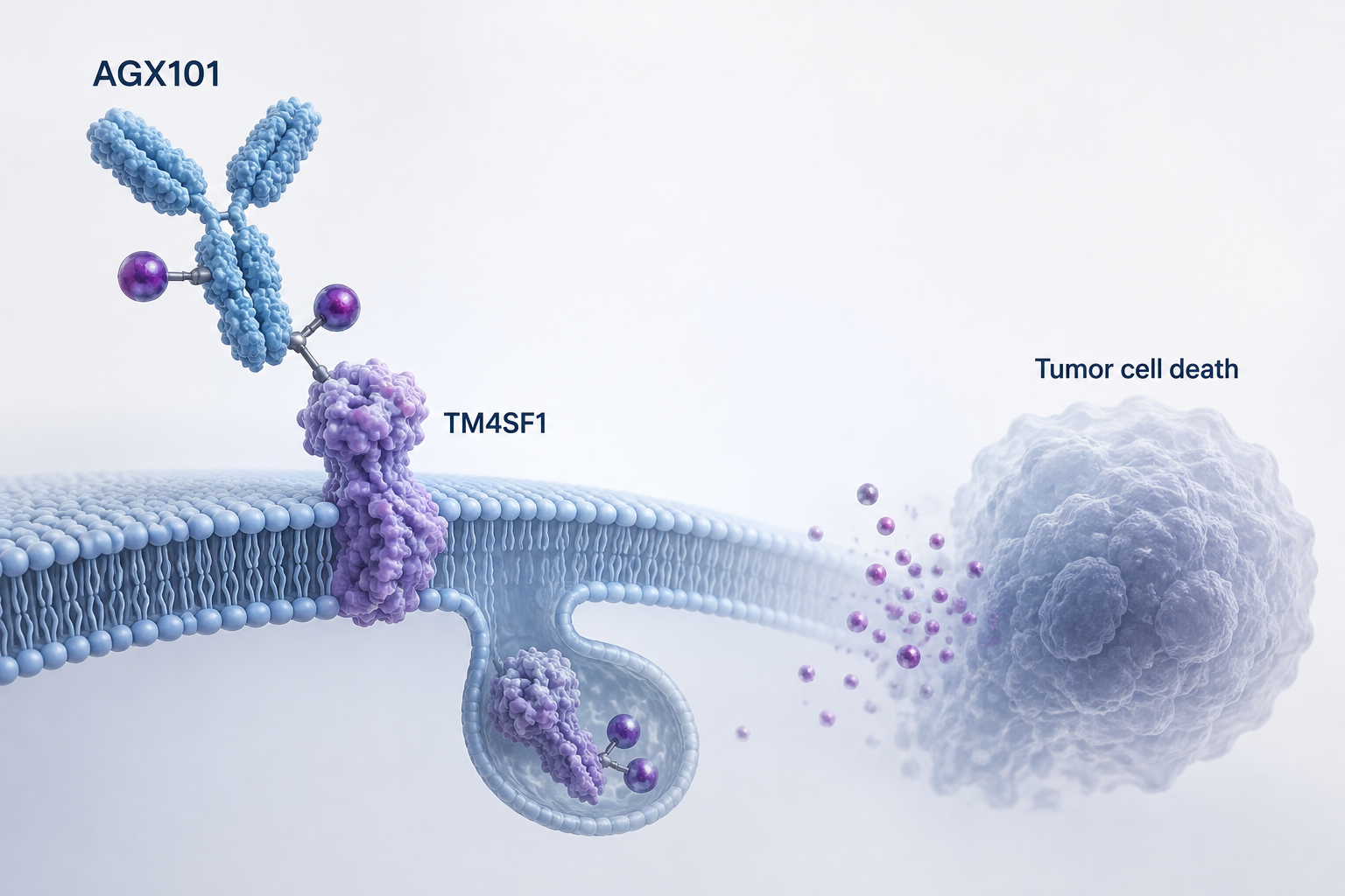 Natera Signatera ctDNA monitoring added to Angiex AGX101 Phase I trial