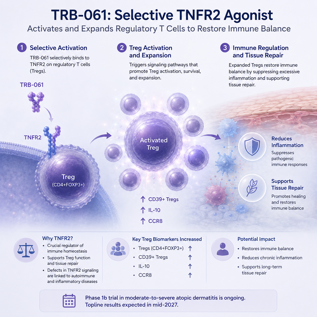 TRB-061 shows regulatory T-cell activation and expansion in Phase 1a study for atopic dermatitis