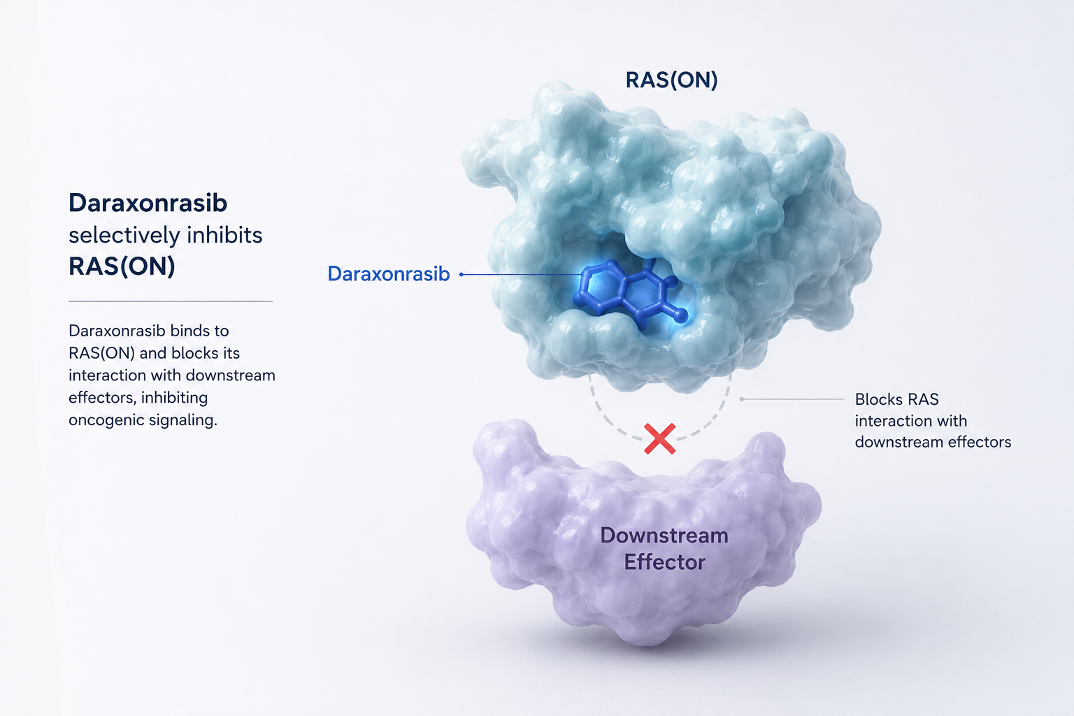 FDA approves RASONQUE (daraxonrasib) for previously treated metastatic pancreatic cancer