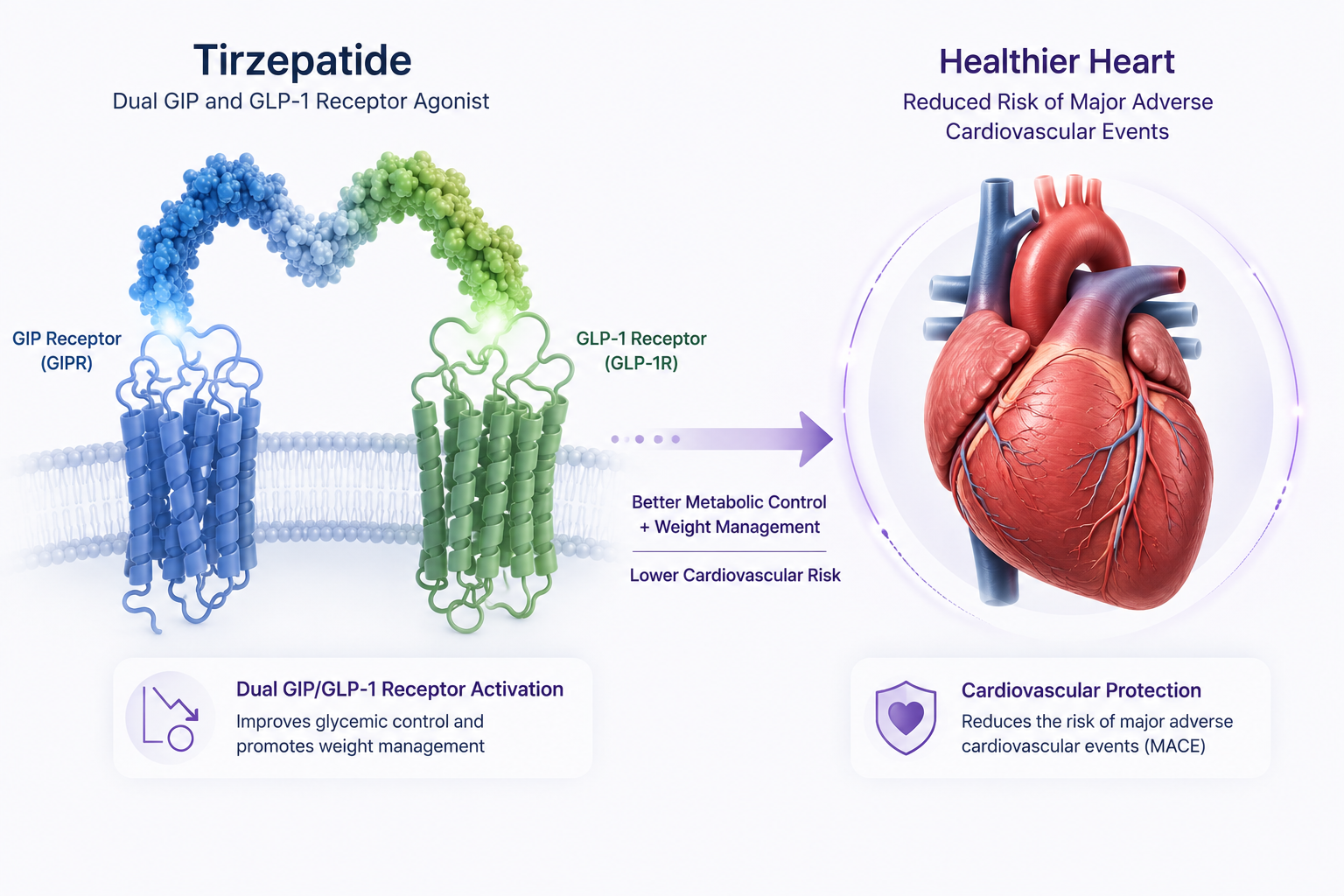 Mounjaro tirzepatide FDA approval for cardiovascular risk reduction in type 2 diabetes