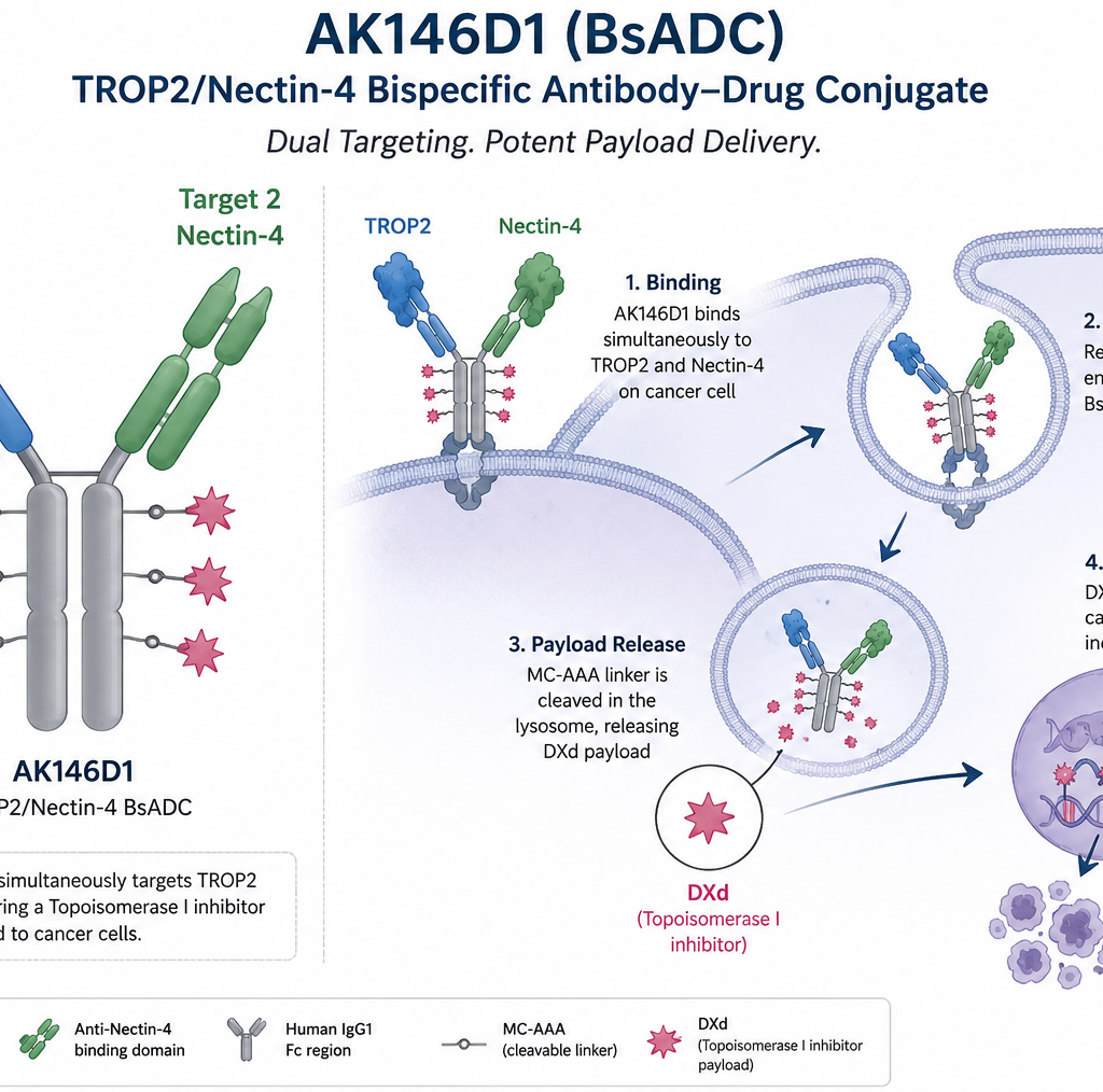 Akeso AK146D1 TROP2 Nectin-4 bispecific ADC with ivonescimab in advanced breast cancer