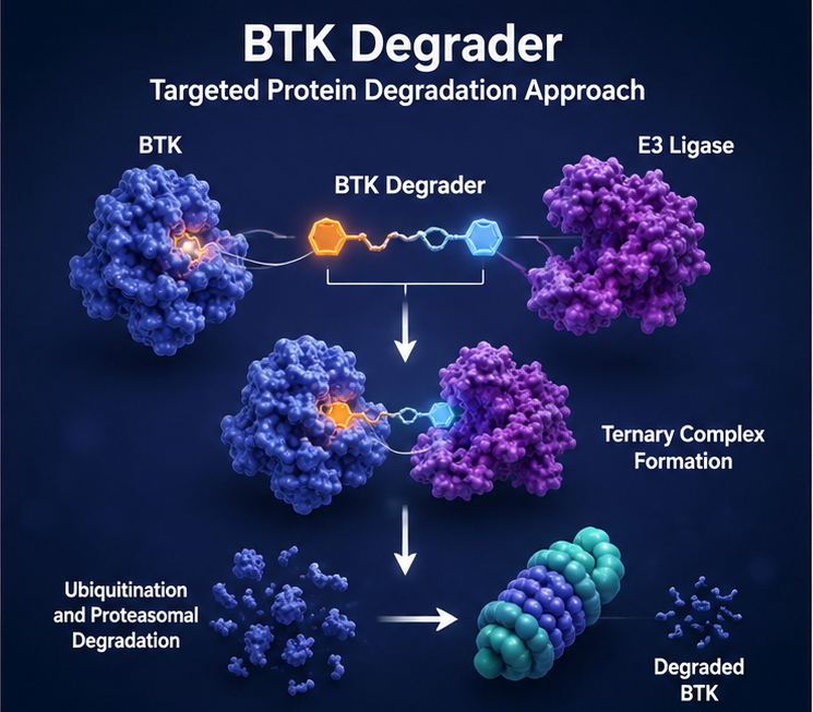 Illustration of the Phase 3 DAYBreak CLL-306 clinical trial evaluating the BTK degrader bexobrutideg versus pirtobrutinib in patients with relapsed or refractory chronic lymphocytic leukemia (CLL) and small lymphocytic lymphoma (SLL).