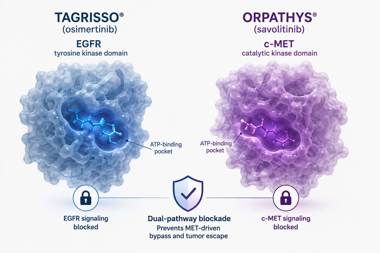 Tagrisso and Orpathys combination improves progression-free survival in first-line EGFR-mutated lung cancer