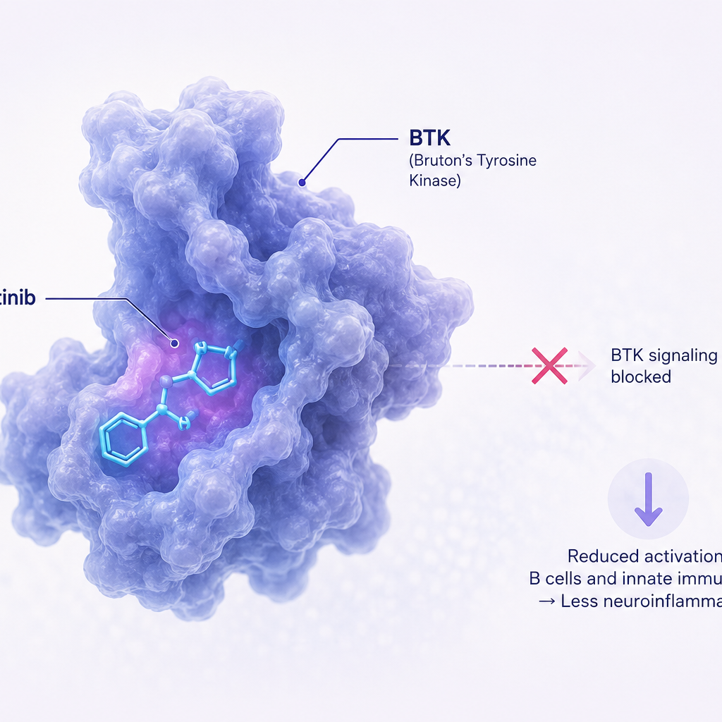 Novartis remibrutinib phase 3 trials in relapsing multiple sclerosis