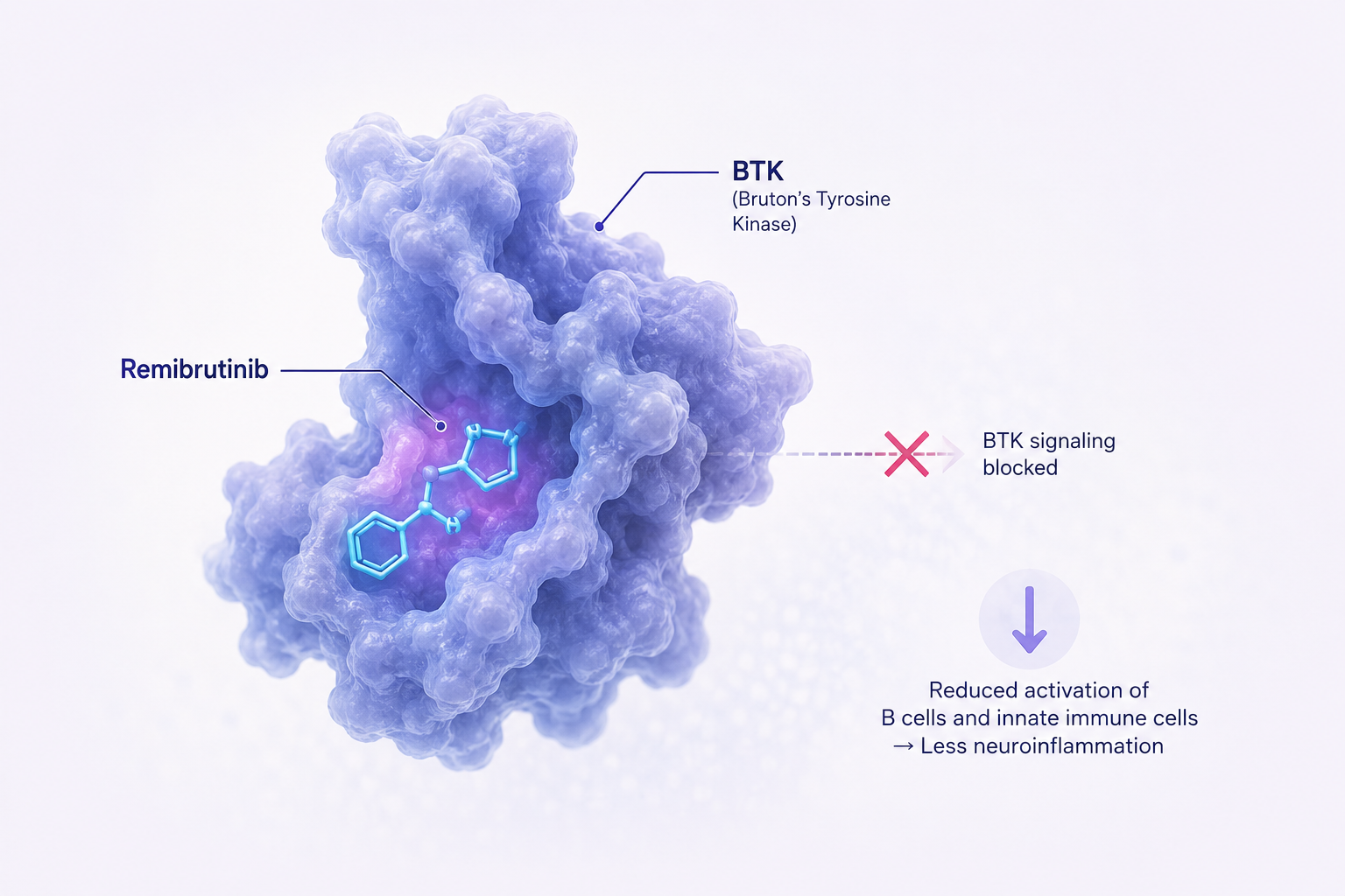 Novartis remibrutinib phase 3 trials in relapsing multiple sclerosis
