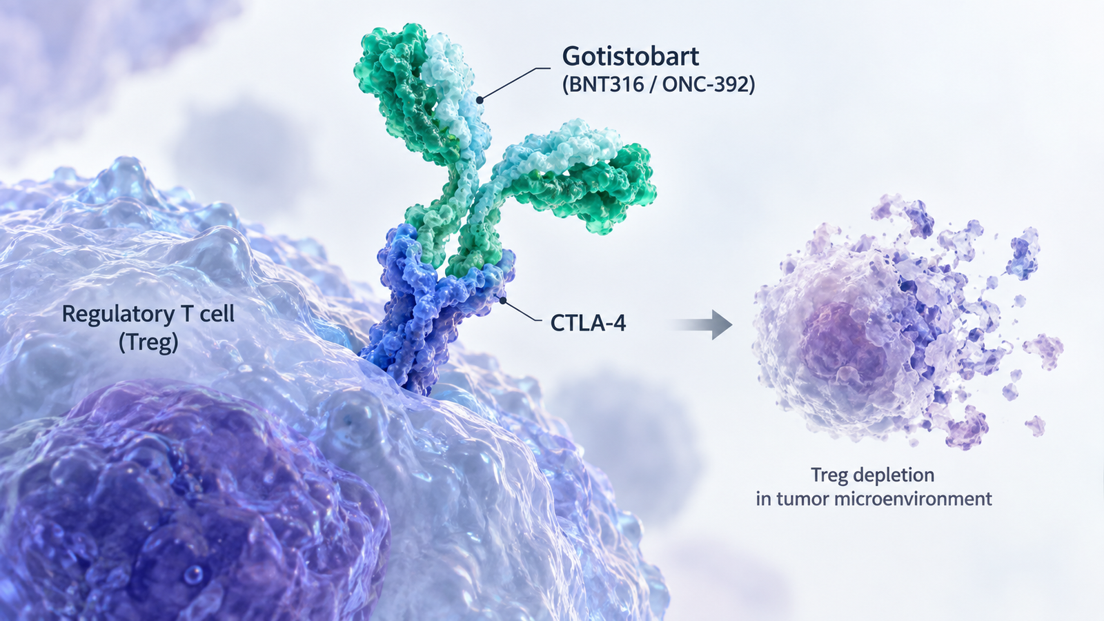 Gotistobart CTLA-4 immunotherapy extends overall survival in previously treated squamous NSCLC