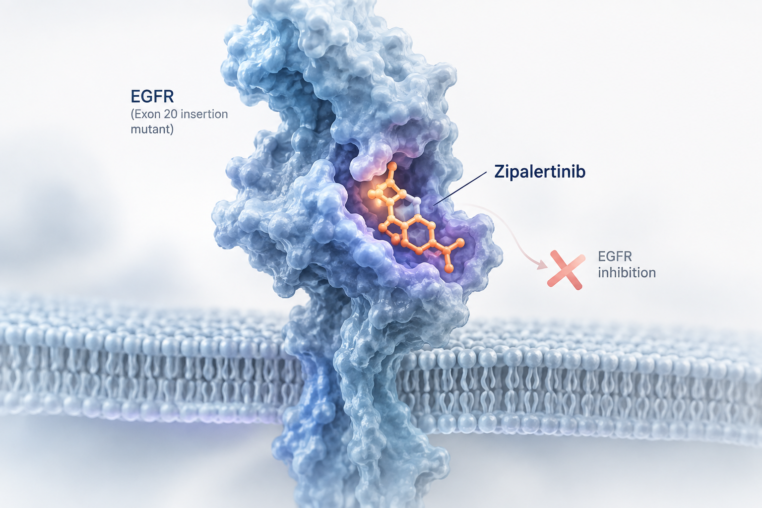 Zipalertinib plus chemotherapy improves progression-free survival in EGFR exon 20 insertion-positive NSCLC in the REZILIENT3 Phase 3 trial