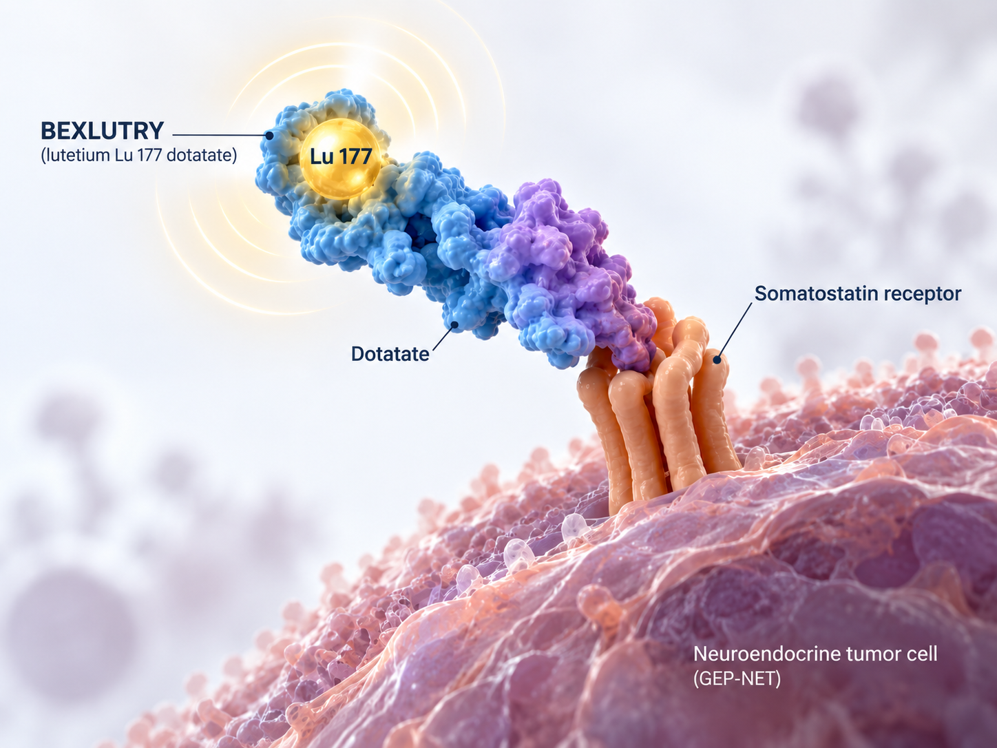 BEXLUTRY lutetium Lu 177 dotatate radioligand therapy for GEP-NETs