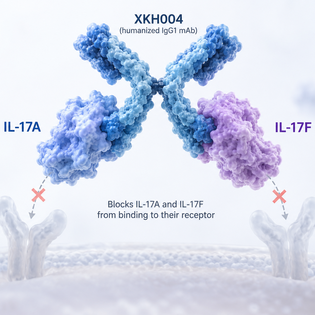 XKH004 dual IL-17A/F antibody shows significant efficacy in phase 3 trial of patients with active ankylosing spondylitis