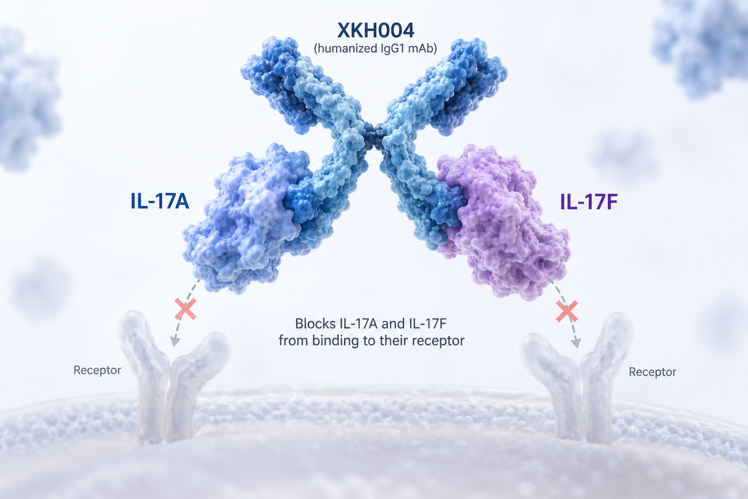 XKH004 dual IL-17A/F antibody shows significant efficacy in phase 3 trial of patients with active ankylosing spondylitis
