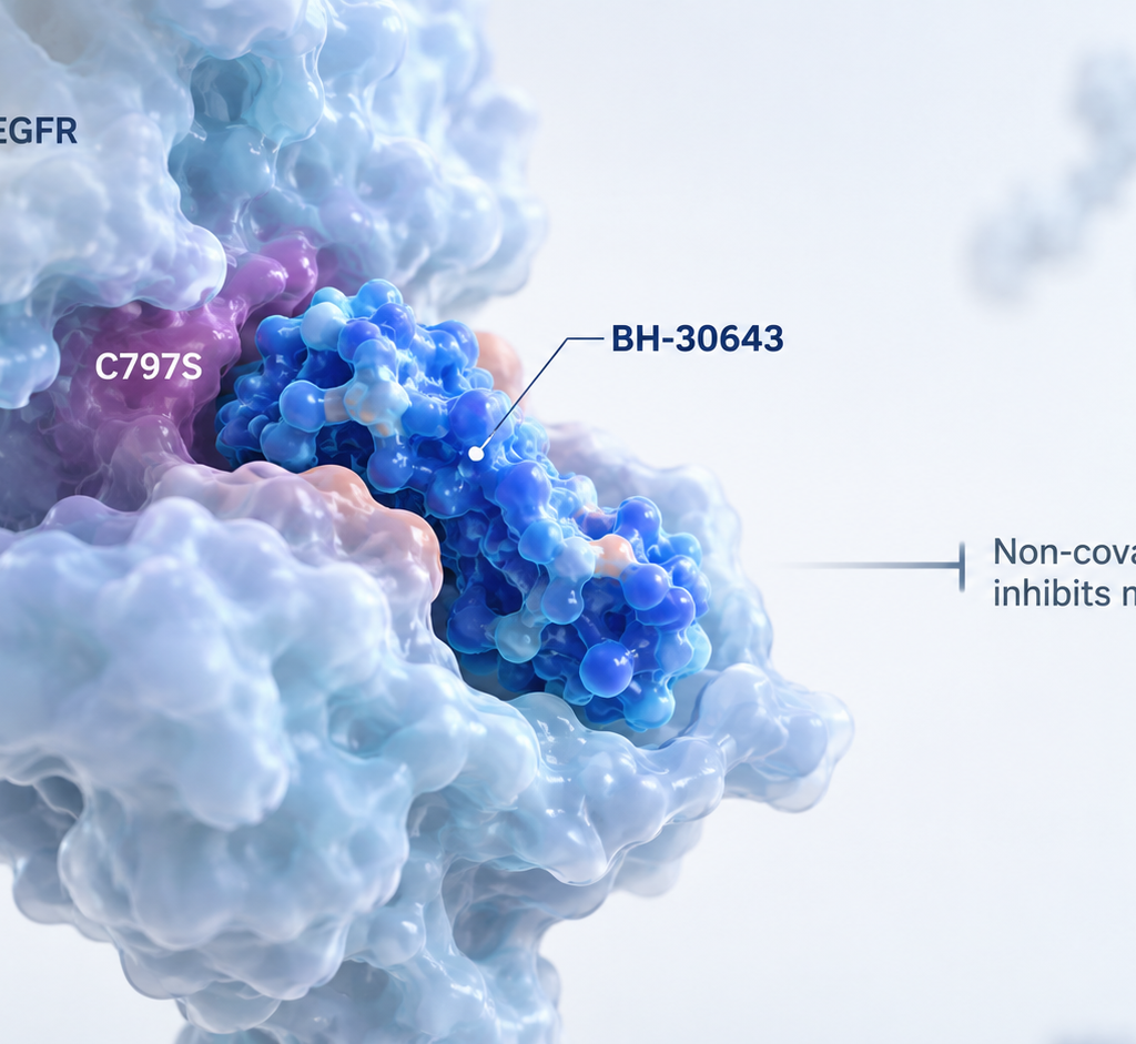 BH-30643 shows clinical activity in EGFR C797S-positive non-small cell lung cancer