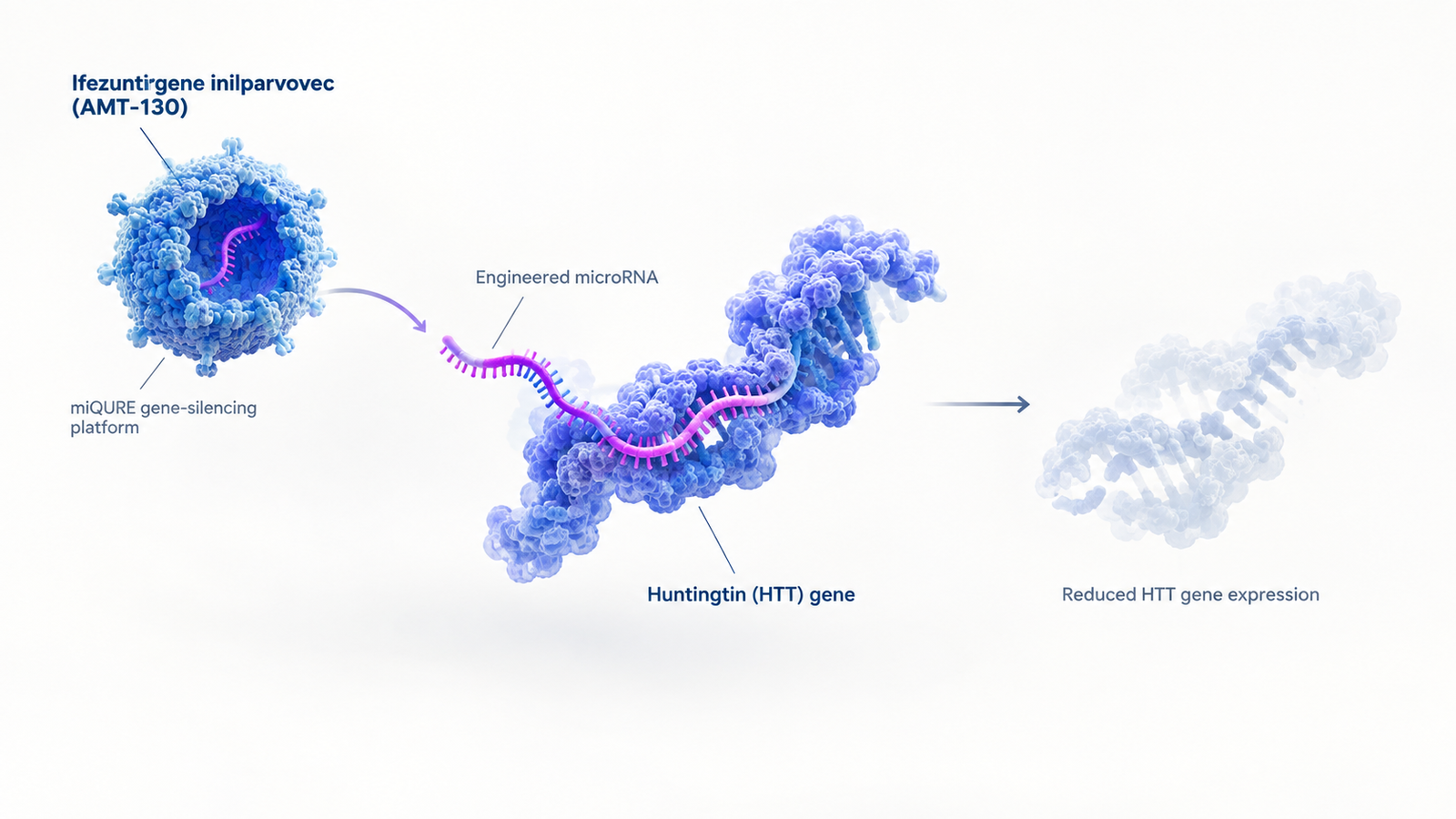 uniQure AMT-130 gene therapy for Huntington's disease