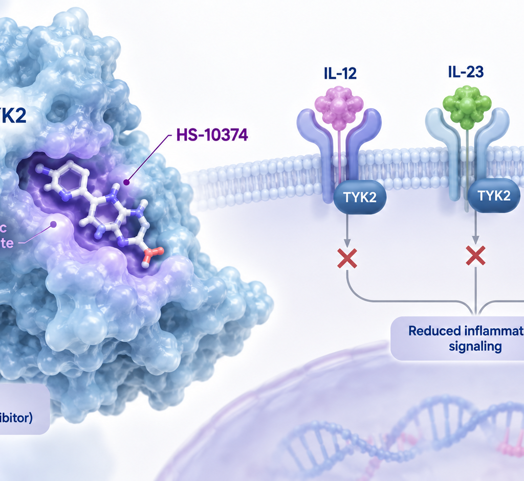 HS-10374 selective TYK2 inhibitor Phase 3 study in moderate-to-severe plaque psoriasis