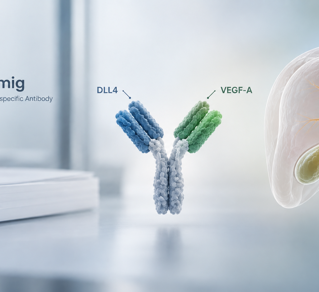 Tovecimig DLL4 VEGF-A bispecific antibody and FDA regulatory review in biliary tract cancer
