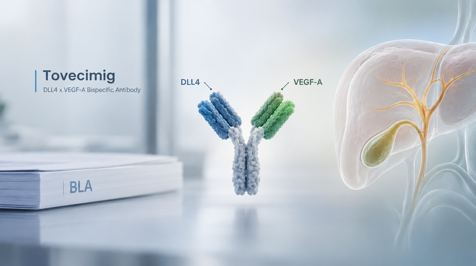 Tovecimig DLL4 VEGF-A bispecific antibody and FDA regulatory review in biliary tract cancer