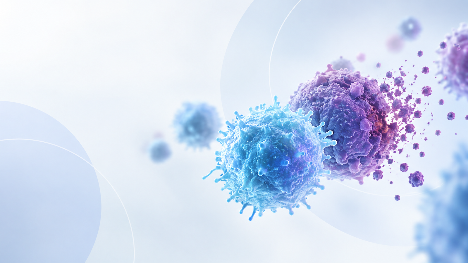 Cemsidomide biomarker findings in relapsed or refractory multiple myeloma