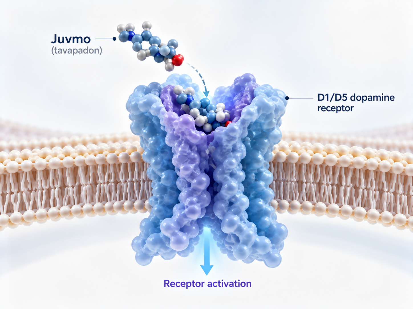 AbbVie tavapadon Juvmo FDA approval for Parkinson’s disease