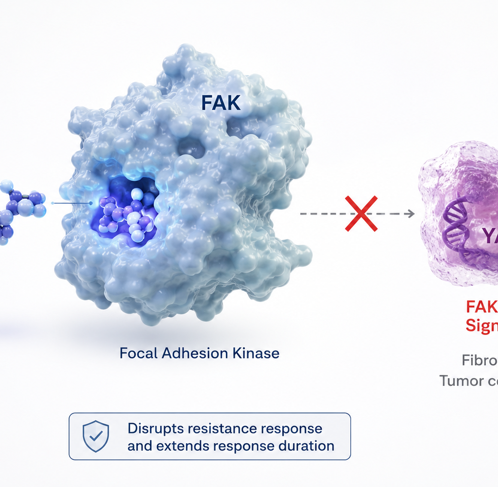 Ifebemtinib plus garsorasib shows antitumor activity in KRAS G12C-mutant colorectal cancer