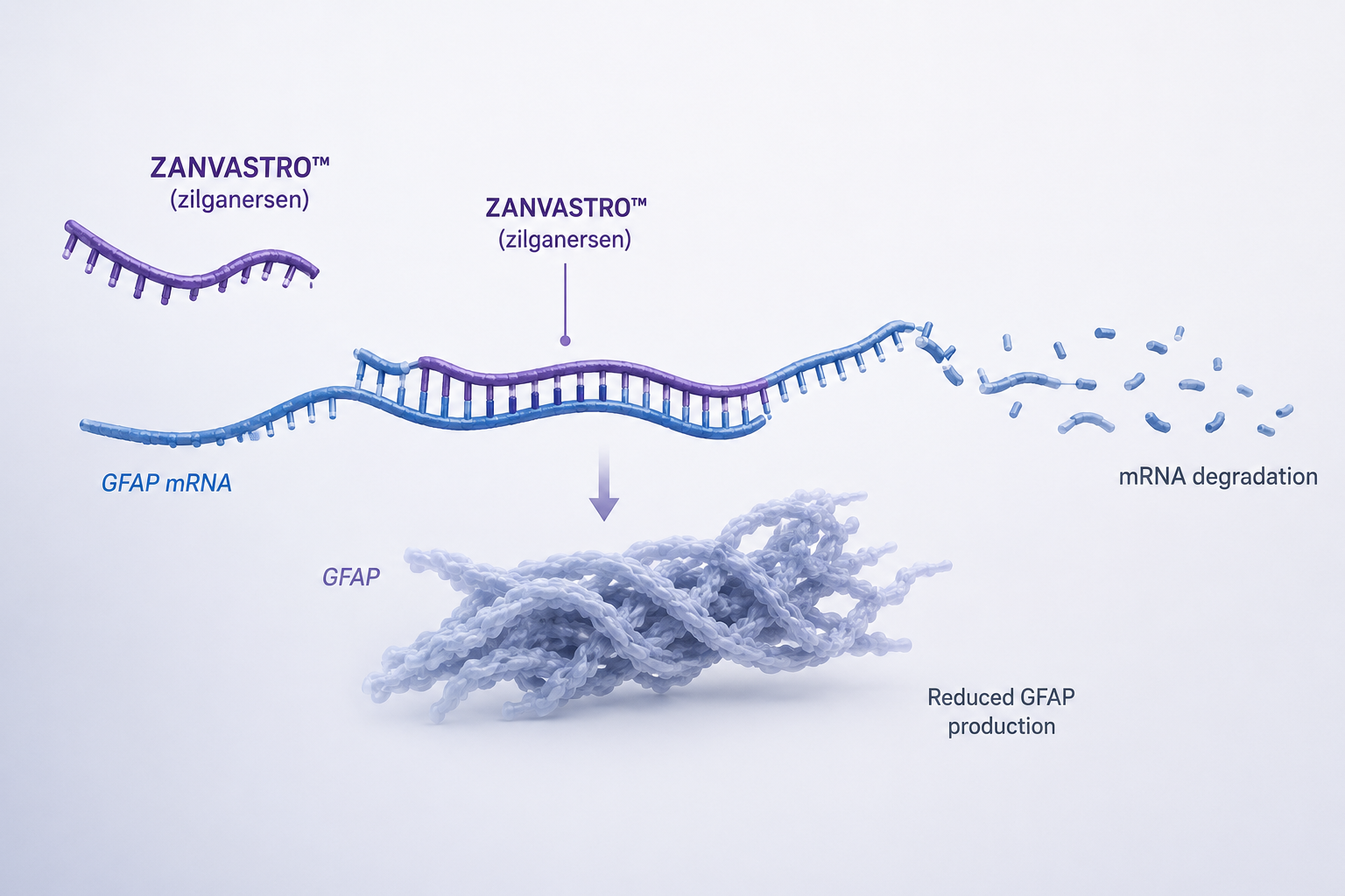 ZANVASTRO is approved for the treatment of Alexander disease in pediatric and adult patients