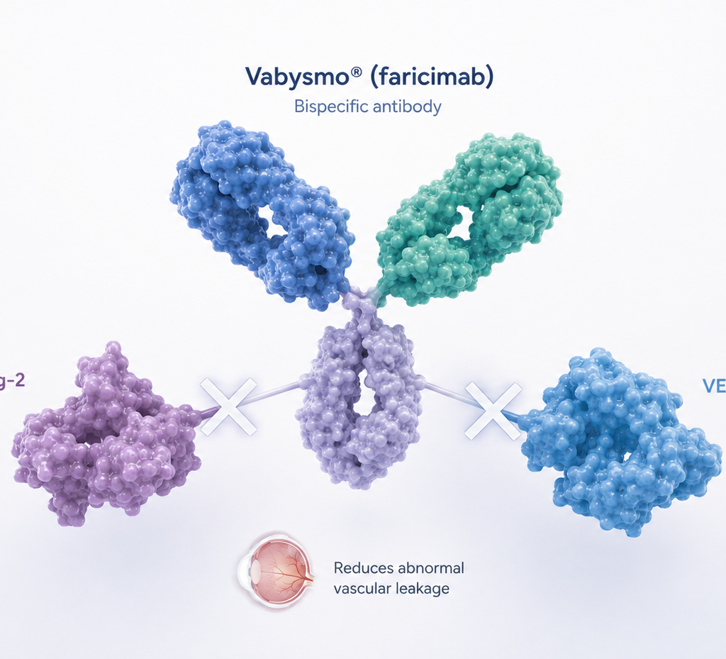 Roche’s Vabysmo (faricimab) delivered sustained improvements in visual acuity and retinal health in Asian patients with polypoidal choroidal vasculopathy (PCV)