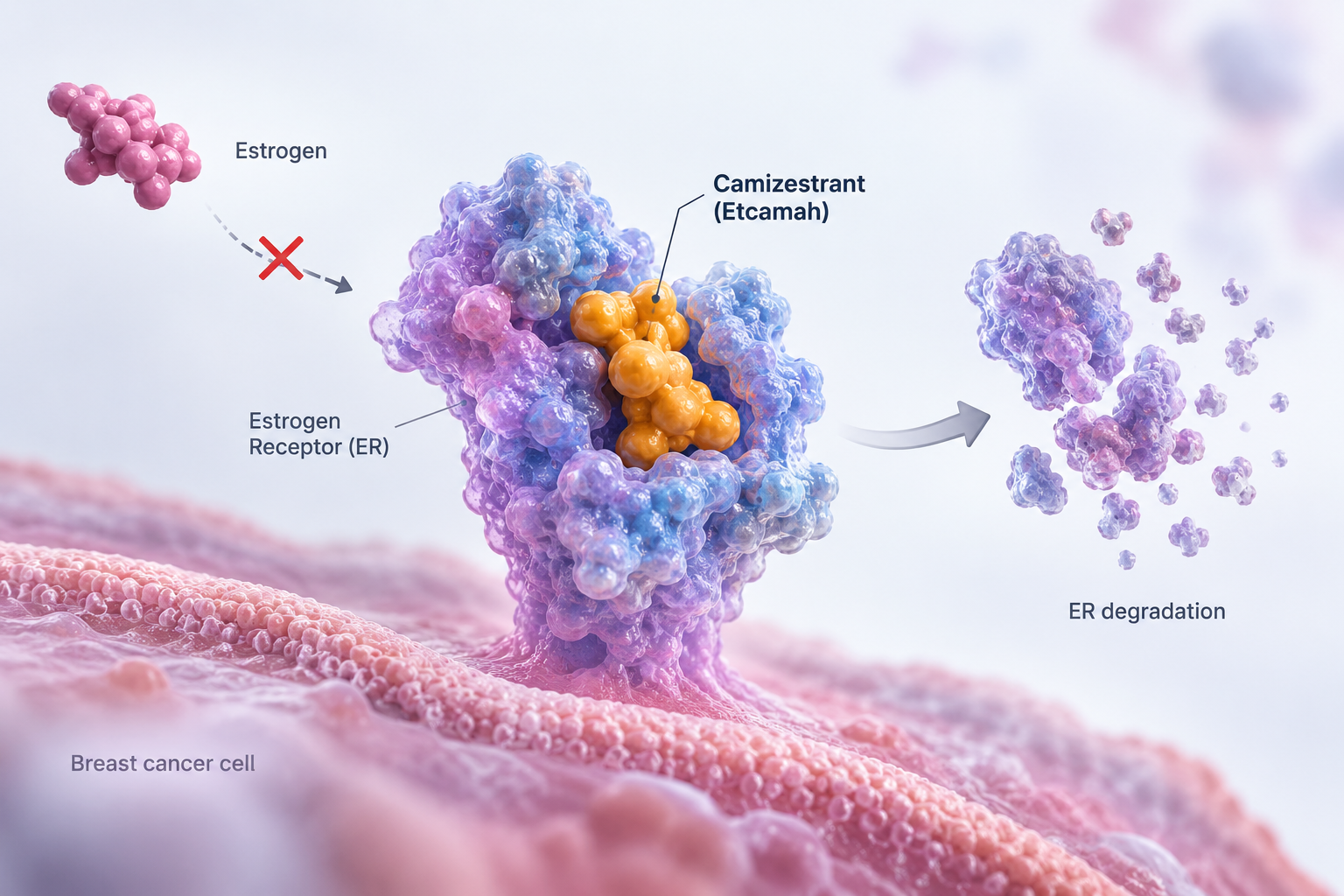 AstraZeneca camizestrant approved by FDA for ESR1-mutated HR-positive HER2-negative advanced breast cancer