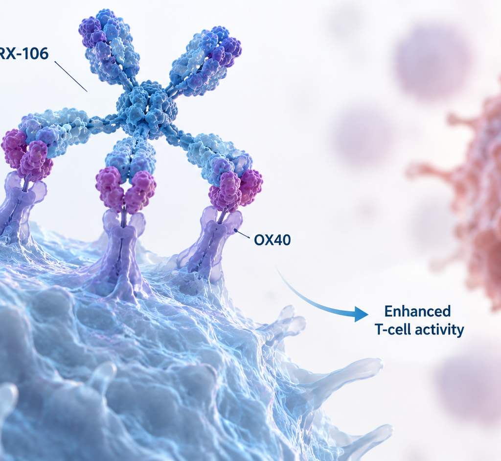 INBRX-106 plus pembrolizumab improves response and progression-free survival in Phase 2 HNSCC trial